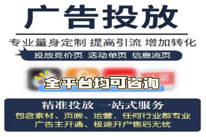 竞价排名在电商行业的实战案例